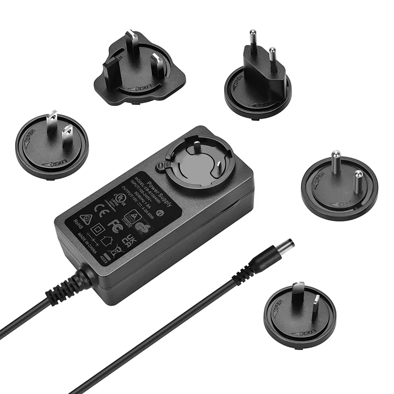 48W AC Plug Detachable Power Adapter